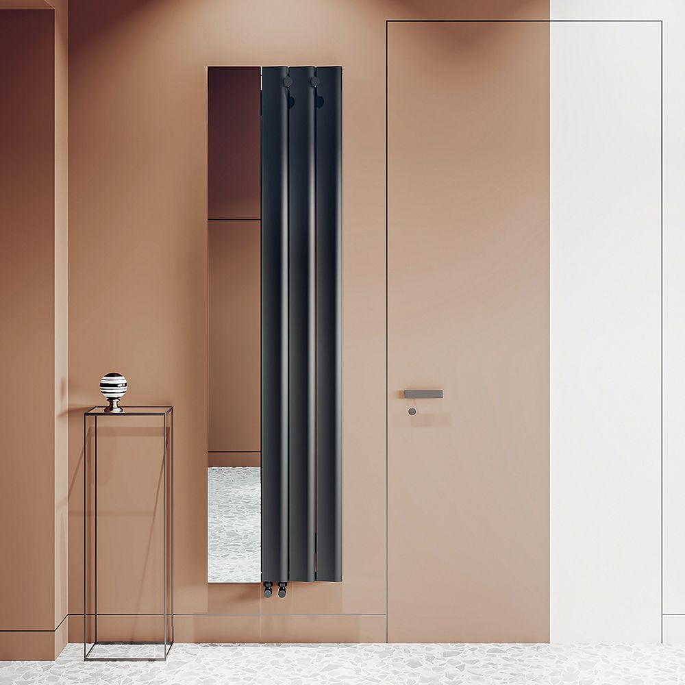Carisa Entree - Aluminium Vertical Designer Radiator with Mirror - 1800mm x 470mm - Choice of Finish