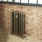 Milano Mercury - 4 Column Cast Iron Radiator - 760mm Tall - Natural Brass - Multiple Sizes Available