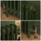 Milano Mercury - 4 Column Cast Iron Radiator - 960mm Tall - Farrow & Ball Duck Green - Multiple Sizes Available
