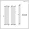 Milano Windsor - Vertical Traditional Column Radiator - 4 Column - 1800mm x 470mm - Anthracite