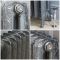 Milano Beatrix - Cast Iron Radiator - 510mm Tall - Antique Silver - Multiple Sizes Available