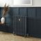 Milano Beatrix - 2 Column Cast Iron Radiator - 950mm Tall - Farrow & Ball Hague Blue - Multiple Sizes Available
