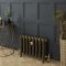 Milano Beatrix - 2 Column Cast Iron Radiator - 510mm Tall - Natural Brass - Multiple Sizes Available