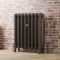 Milano Tamara - Oval Column Cast Iron Radiator - Multiple Sizes and Finishes Available