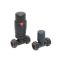 Milano - Thermostatic Straight Radiator Valve and Lockshield - Choice of Finish
